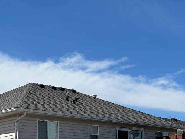 Best Hot Roofs  in Greenock, PA
